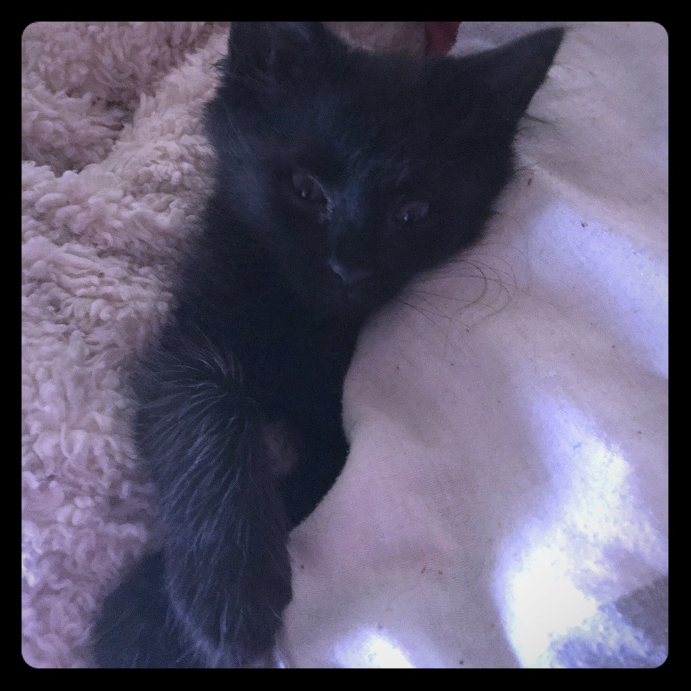 😻💕💙My Angels 😻💕💙